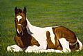 Horses: Paints - Nature Art by Jeanne Filler Scott